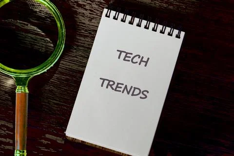 Business, programming, interface, application and network concept. Text TECH  Photos