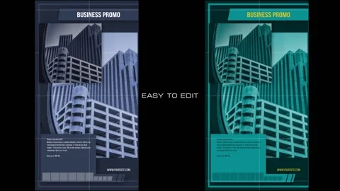 Business Promo Vertical Stock After Effects