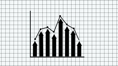 Business Report Animation with Data Charts and Financial Graphs Stock Footage 315764997