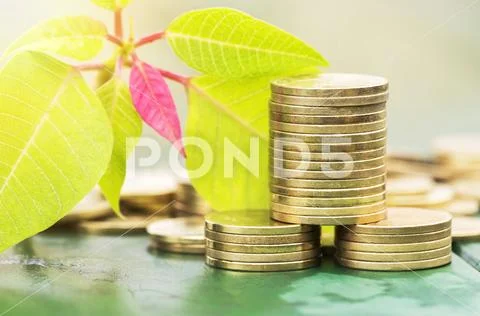 Business success - gold money coins Stock Photos
