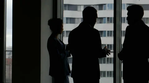Business team talking about project with partner Stock Footage 87771695