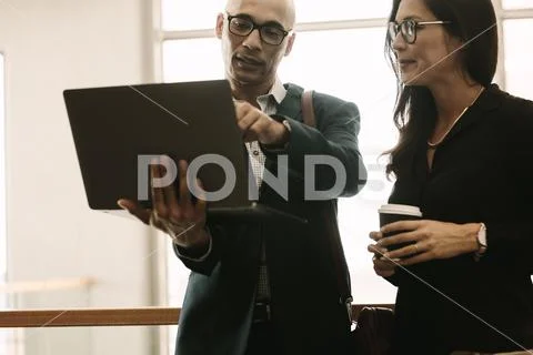 Business team working together on laptop in office Stock Photos