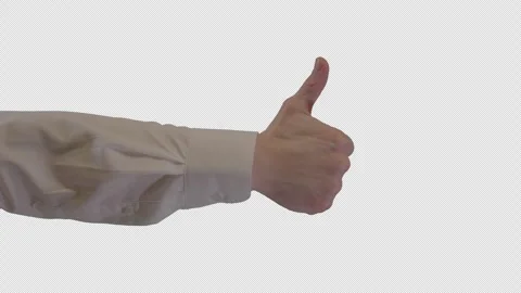 Business Thumbs Up Back Alpha Channel Stock Footage 339804725