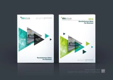 Business vector. Brochure template layout, cover design annual r Stock Illustration