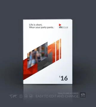 Business vector template. Brochure design, cover modern layout a Stock Illustration