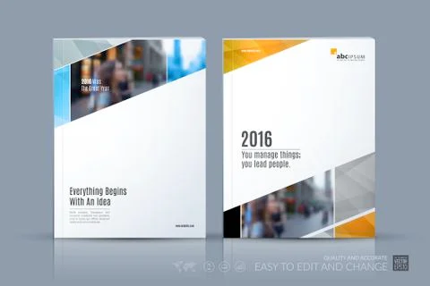 Business vector template. Brochure layout, cover modern design a Stock Illustration