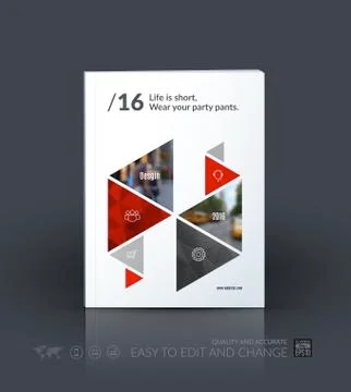 Business vector template. Brochure layout, cover modern design a Stock Illustration