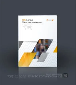 Business vector template. Brochure layout, cover modern design a Stock Illustration