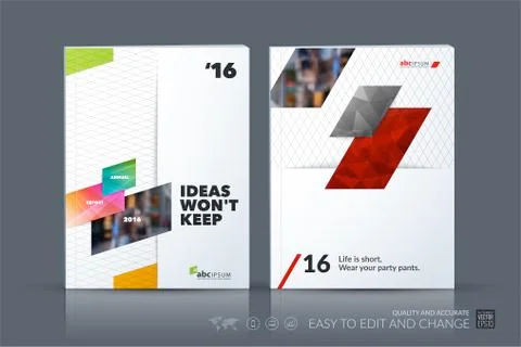 Business vector template. Brochure layout, cover modern design a Stock Illustration