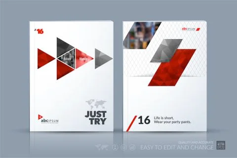 Business vector template. Brochure layout, cover modern design a Stock Illustration