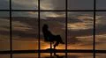 The business woman sits in the office near the windows with a beautiful sky v Photo