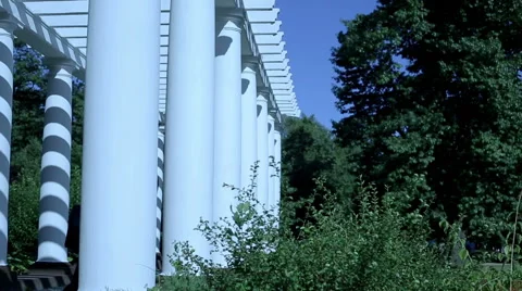 Businessman accepting a phone call in a park  Stock Footage 59087401