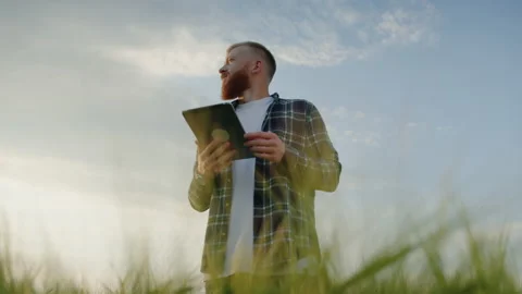 A businessman farmer with a tablet inspects fields with wheat Stock Footage 201483935