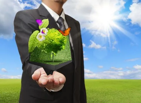 Businessman holding a creative box of tree in his hand with green meadow on t Stock Illustration