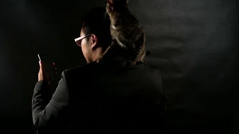 Businessman man using smartphone Text Messaging with cat on his shoulder Видео 78468459