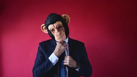 Businessman with monkey mask looking at camera Video stock 161124036