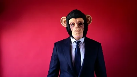 Businessman in monkey mask looking at the camera making OK gesture. Video stock 169412126