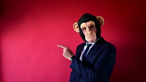 Businessman with monkey mask pointing to the side Stock Footage 161123853