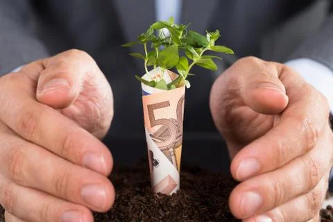Businessman protecting small sapling growing from soil Stock Photos