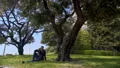 Businessman sitting on grass and talking on smartphone, relaxation in park HD Footage