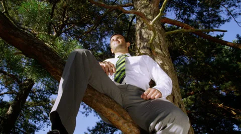 Businessman sitting in a tree looking into the setting sun. Vídeo Stock 32903455