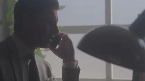 Businessman Talking on the Phone While Sitting at His Office Desk Stock Footage 270307895