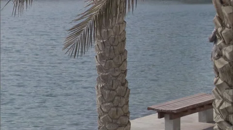 A businessman talks on his phone while walking by a lake. Stock Footage 46867682