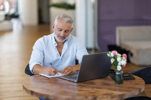 Businessman using laptop computer in office. Happy middle aged man, entrepren Stock Photos