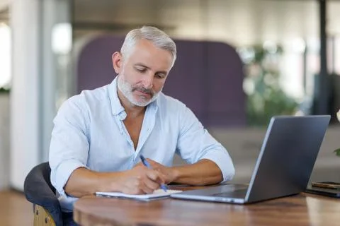 Businessman using laptop computer in office. Happy middle aged man, entrepren Stock Photos