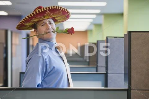 Businessman wearing sombrero and holding rose in teeth Stock Photos