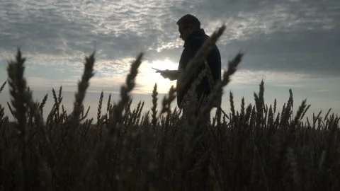 Businessman is working with the help of agro application on smartphone. Video stock 164707016