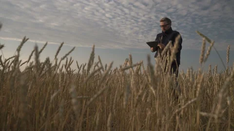 Businessman is working with the help of agro application on smartphone. Stock Footage 164707640