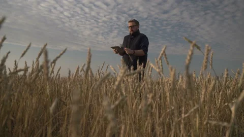 Businessman is working with the help of agro application on smartphone. Stock Footage 164707651