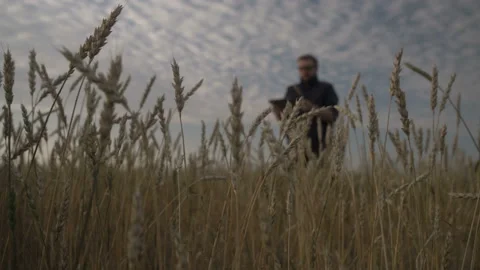 Businessman is working with the help of agro application on smartphone. Stock Footage 164707860