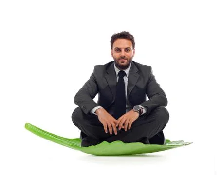 Businessmanlin the leaf Stock Photos