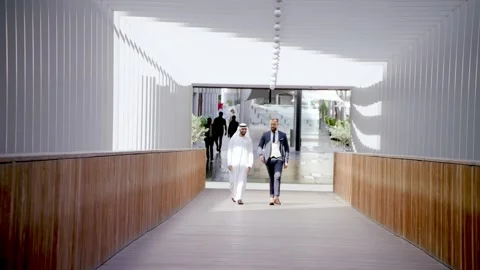 Businessmen walking. Stock Footage 237089901