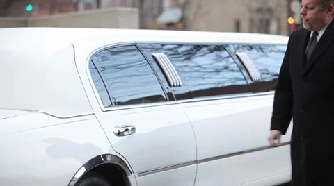 Businesspeople meet by limo Stock Footage 61663240