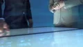 The businesswoman and a businessman working with a sensor screen 4k or 4k+ Resolution