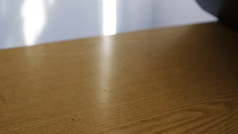 Businesswoman using laptop computer. Close up of female hands typing on lapto Stock-Footage 107184792