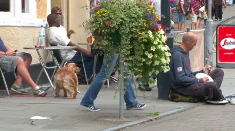 Busker Video stock 8950908