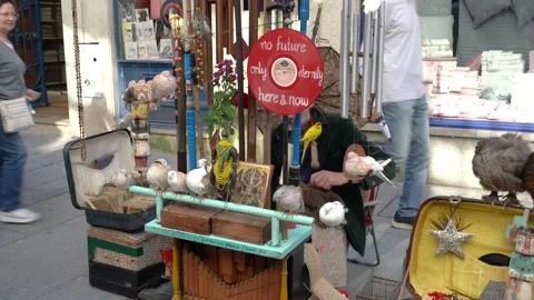 Busker playing a card based music box with chickens and birds Stock Footage 292610466