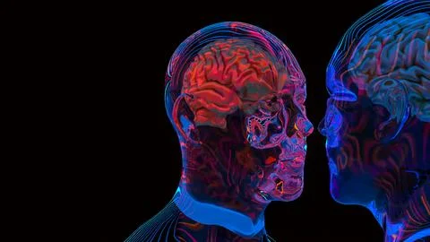 The Bust and Brain for sci or Technology concept 3d Rendering. 스톡 일러스트