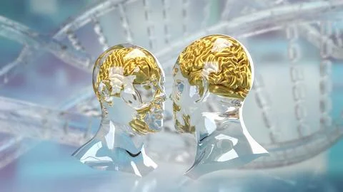 The Bust and Brain for sci or Technology concept 3d Rendering. 스톡 일러스트