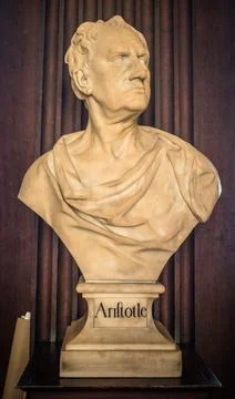 Bust of Aristotle at Trinity College Library, Dublin Stock-Fotos