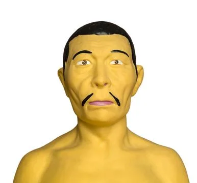 The bust of an Asian to study at school and college isolated on white Stock Photos
