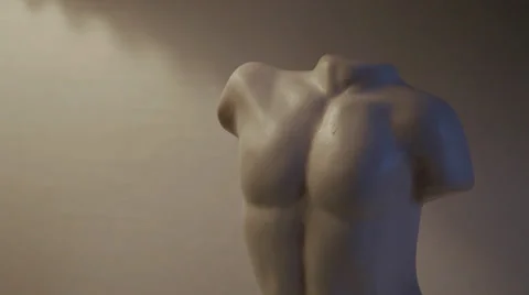 Bust Stock Footage 22572164