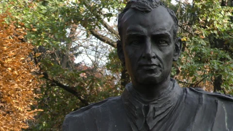 Bust Stock Footage 91068252