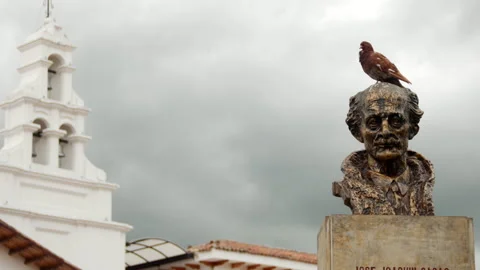 Bust of hero in colombia Stock Footage 233210508