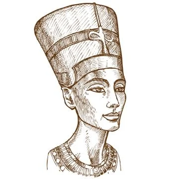 Bust of Nefertiti イラスト素材