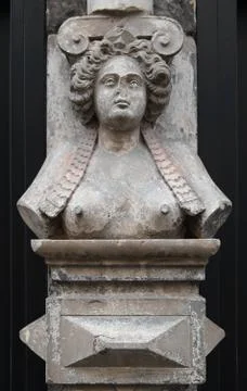 Bust Stock Photos